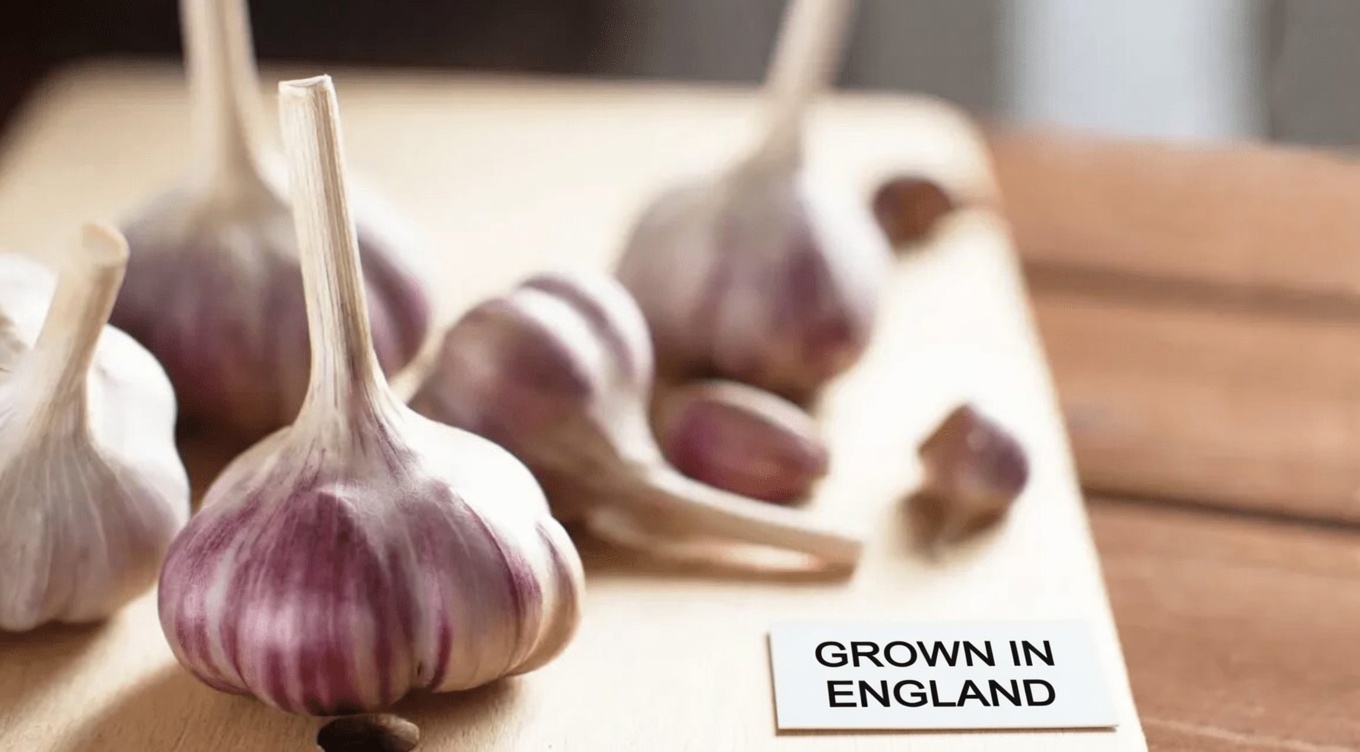 Drink This Every Morning and Watch Your Blood Sugar Melt Away