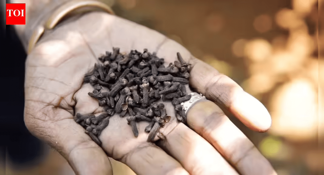 The Truth About Chewing Cloves: 8 Common Mistakes That Could Harm Your Health