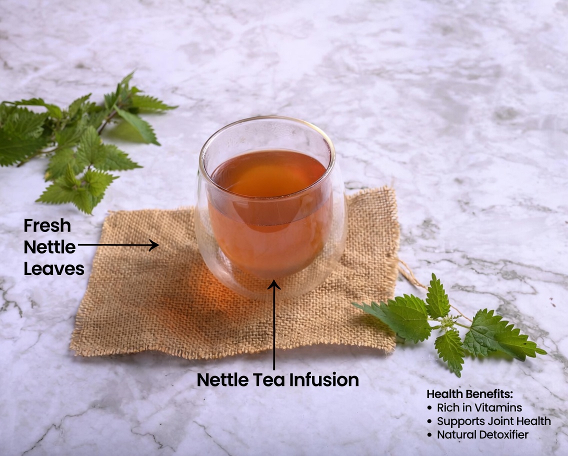 Top 10 Natural Drinks to Stop Proteinuria and Quickly Boost Kidney Health!