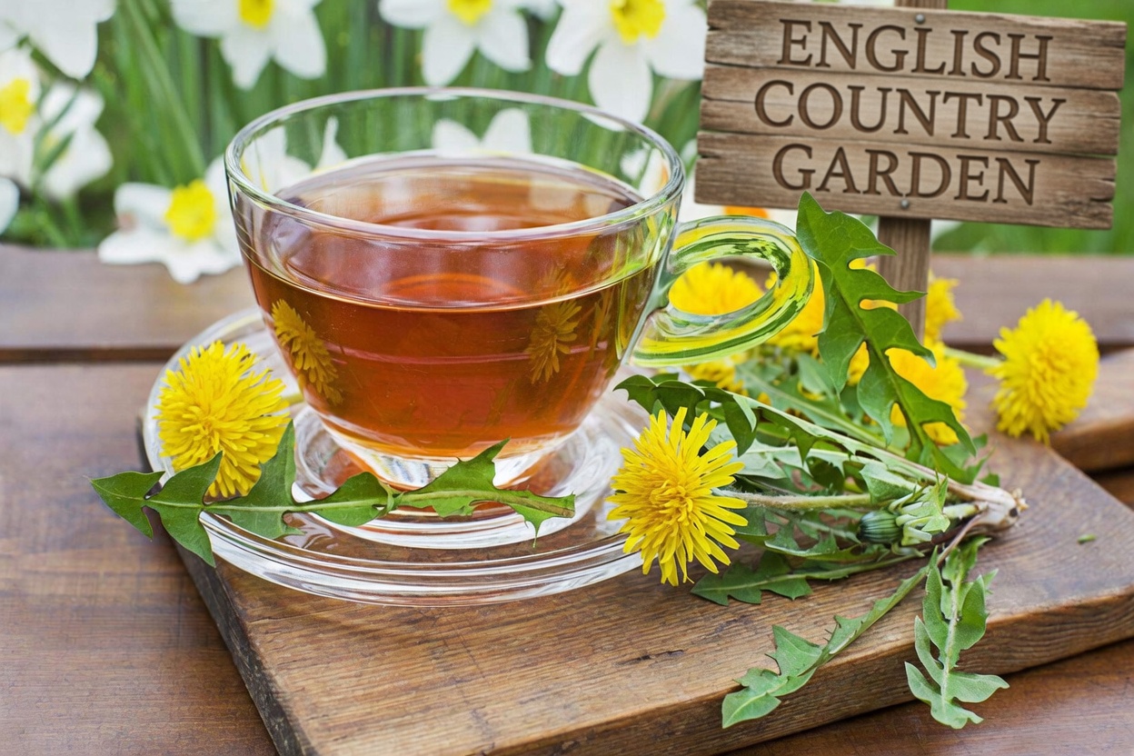 Top 10 Natural Drinks to Stop Proteinuria and Quickly Boost Kidney Health!