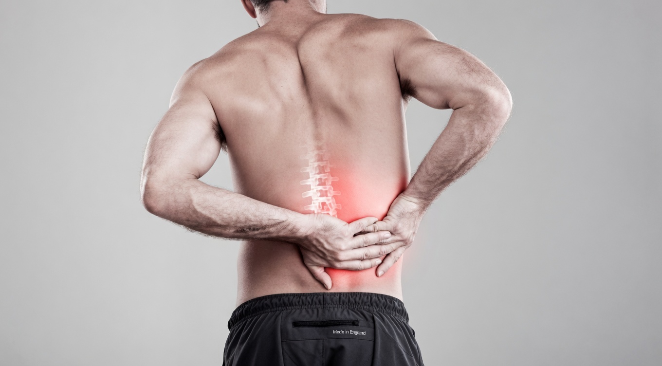 Herbal Leaves for Kidney Support: 8 Signs Your Kidneys May Need Attention and Gentle Natural Options