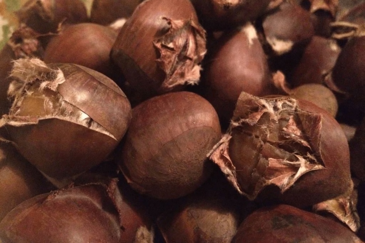 Creatinine Climbing? Drop These 3 Nuts Immediately—and Grab These 3 Instead (Your Kidneys Will Thank You Tomorrow)