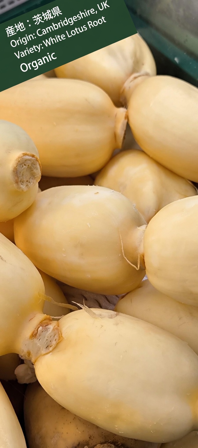 The One Missing Food That’s Quietly Melting Your Muscle After 60 (And the 5 Monk-Approved Foods That Bring It Back)