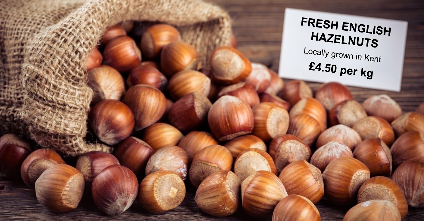 6 Nuts That May Support Your Body’s Natural Defenses After 45