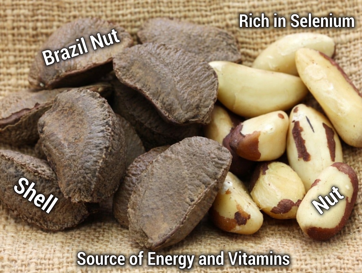 6 Nuts That May Support Your Body’s Natural Defenses After 45