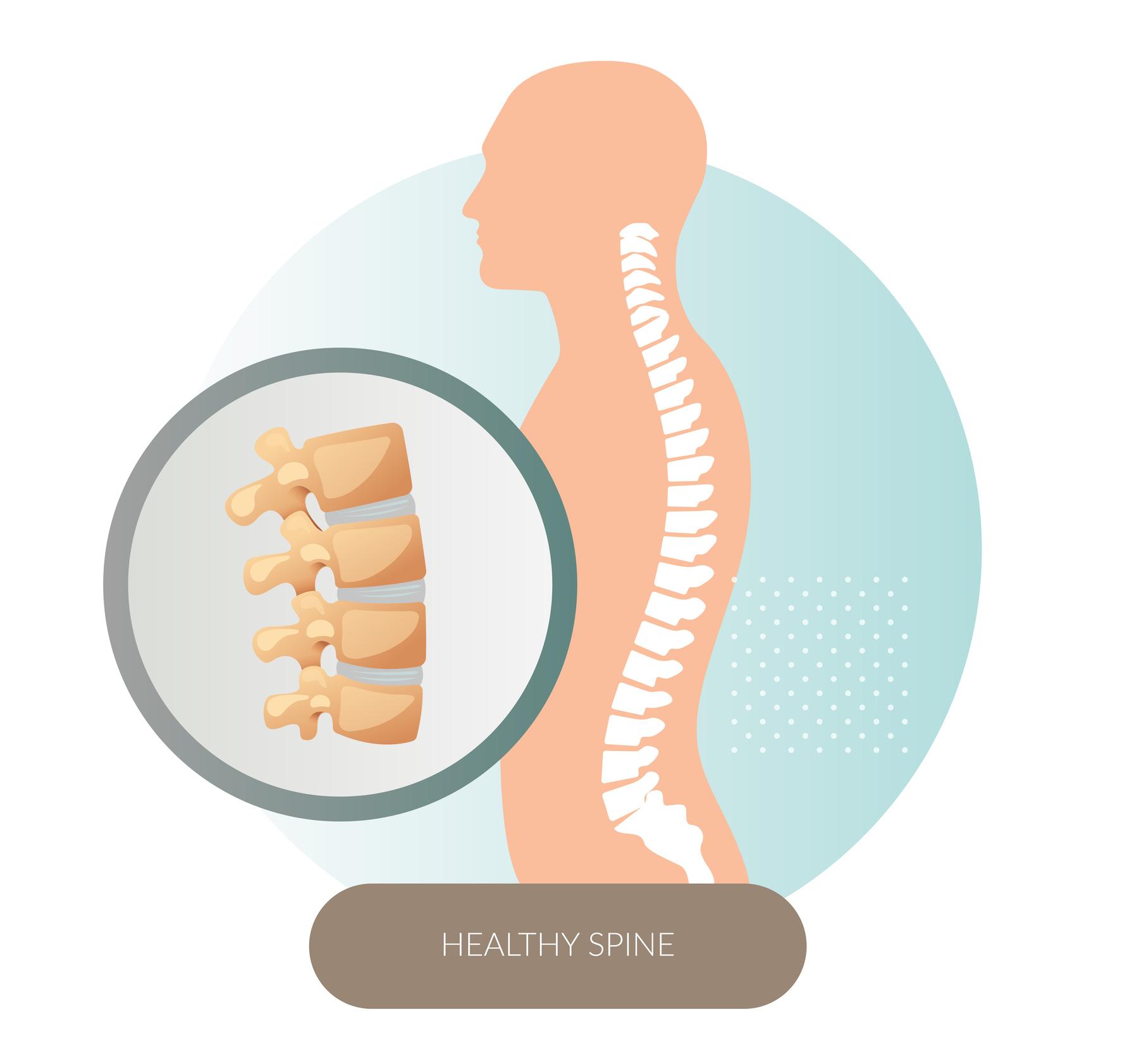 Is Your Spine Quietly Weakening After 50? Simple Habits That Protect Bone Strength
