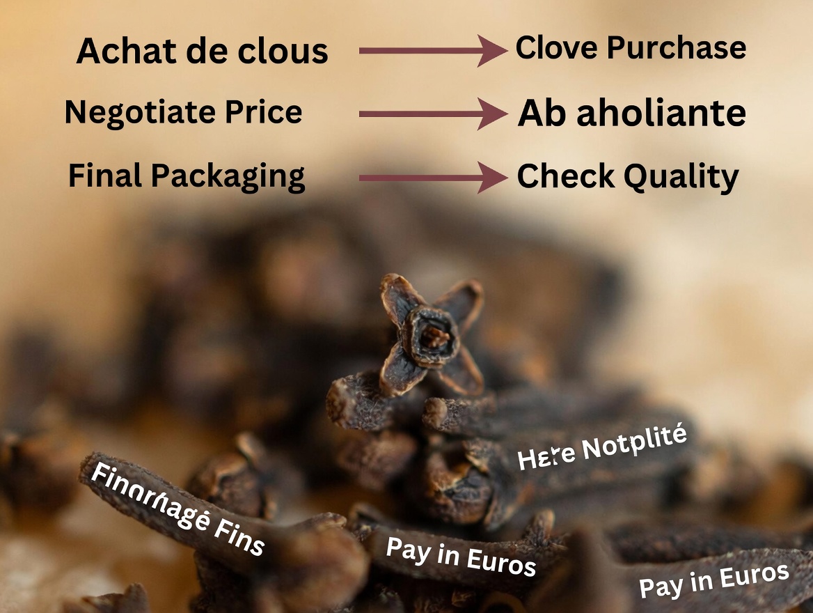 Could This Tiny Spice Be the Senior Wellness Secret Dr. Sebi Praised?