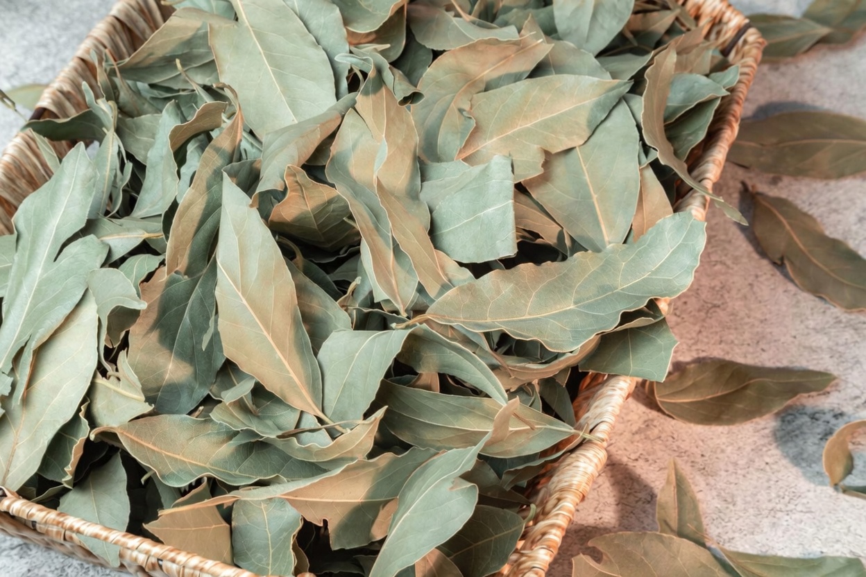 Why Bay Leaves Might Offer Natural Support for Men’s Wellness