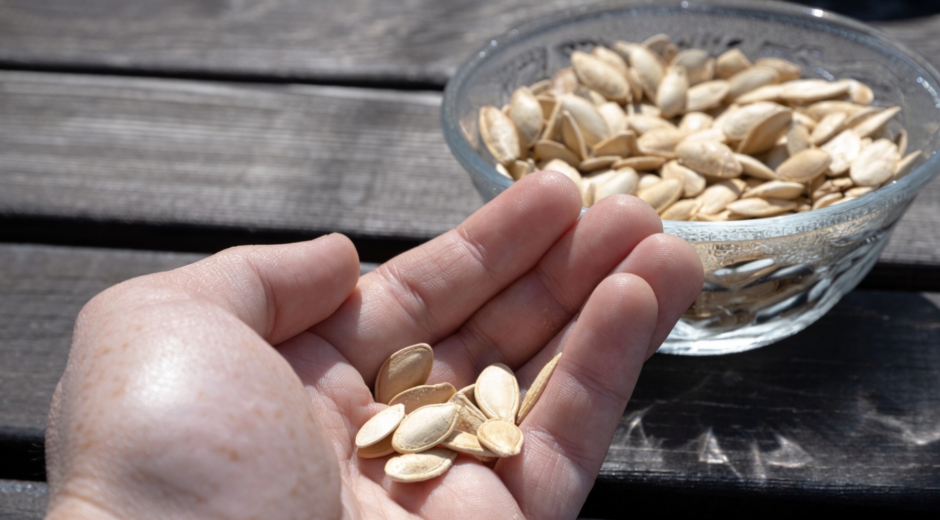 6 Essential Seeds to Boost Your Body’s Natural Resilience After 50 – Don’t Miss This Guide