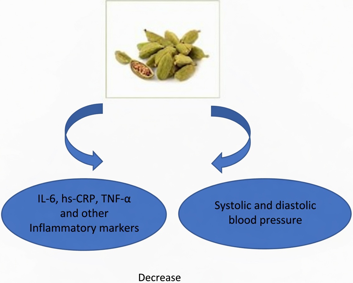 Surprising Benefits of Cardamom: Discover 18 Ways to Boost Your Well-Being