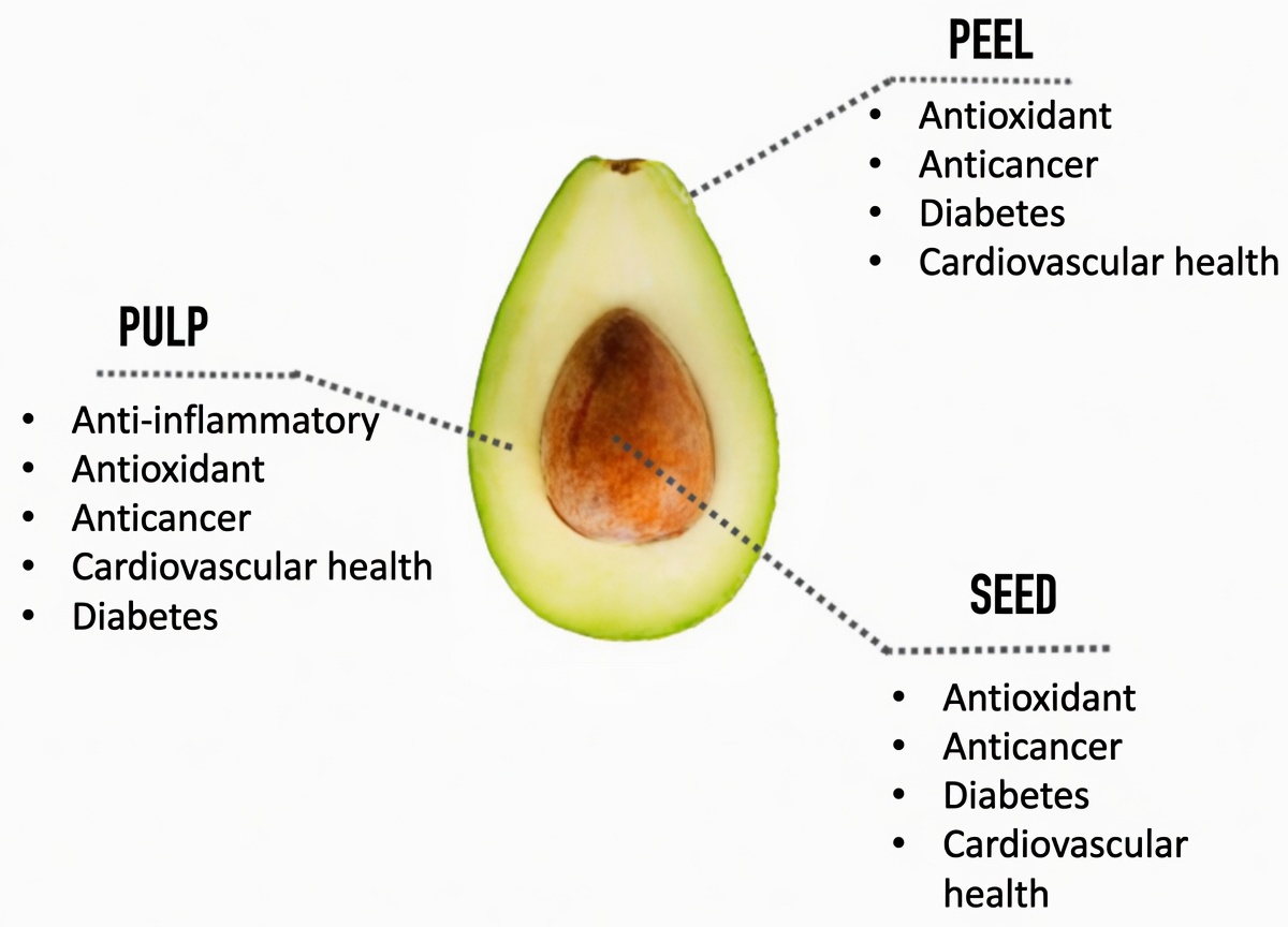 Avocado Seed Benefits: The Overlooked Natural Remedy for Joint and Back Pain