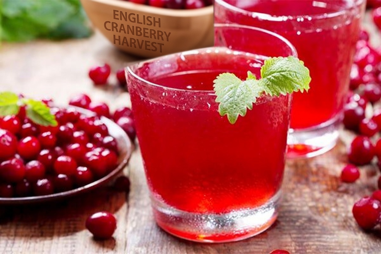 10 Morning Drinks You Should Know About to Support Kidney Health and Flush Out Toxins