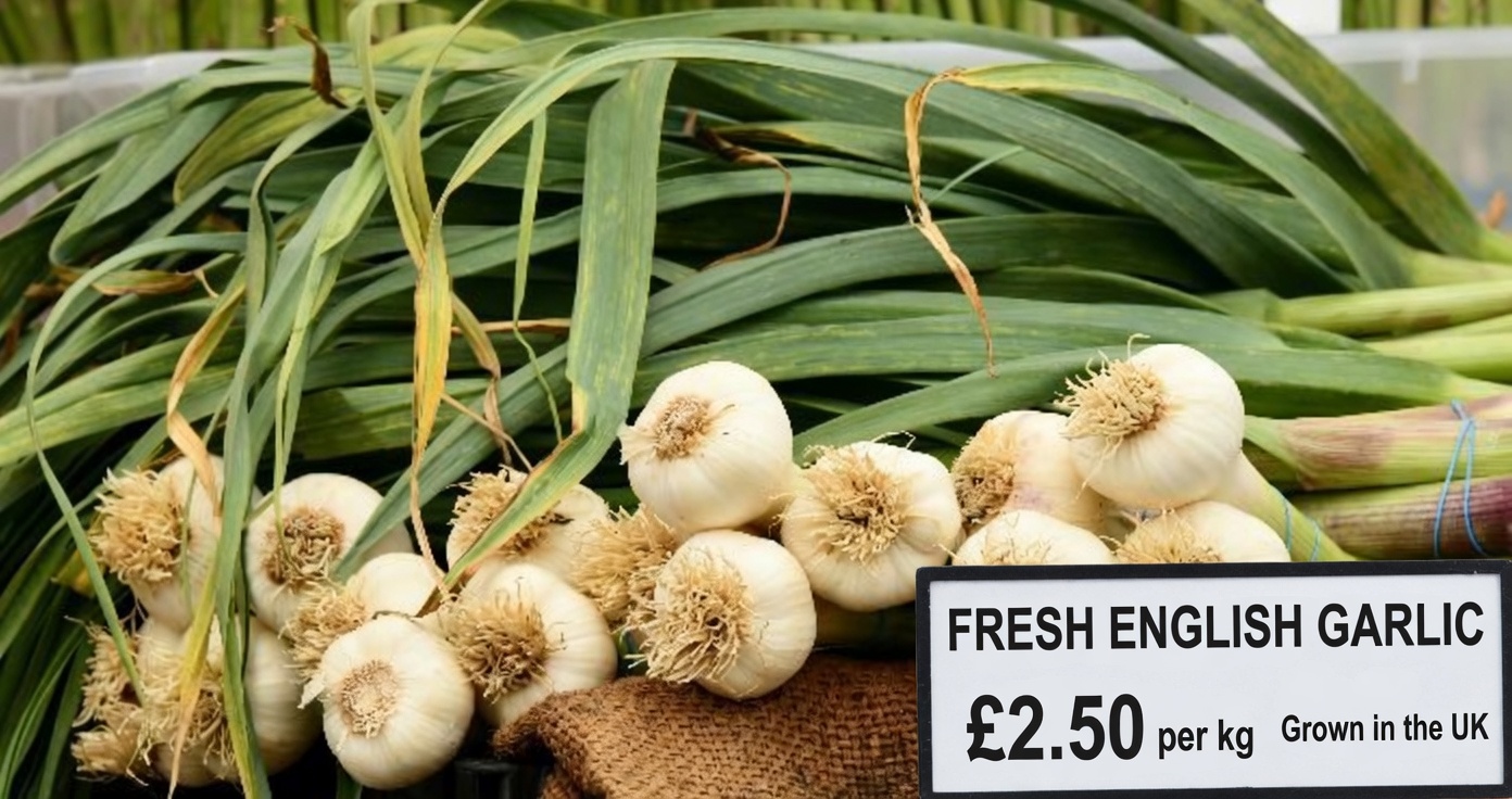 Garlic: A Powerful Ally for Your Health—But Don’t Make These 7 Mistakes!