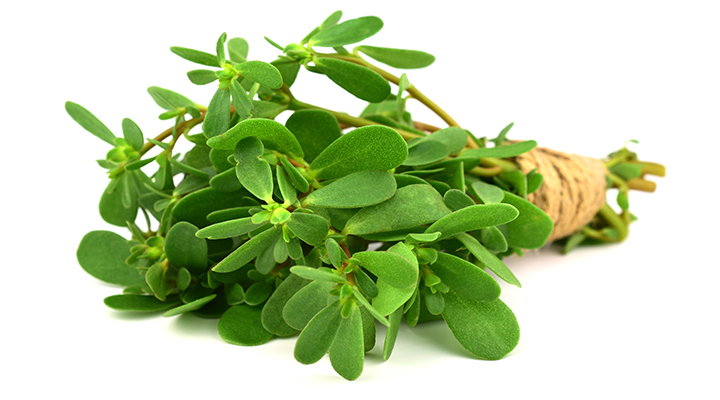 Don’t Ignore This “Weed”: Why Purslane Might Surprise Your Diet
