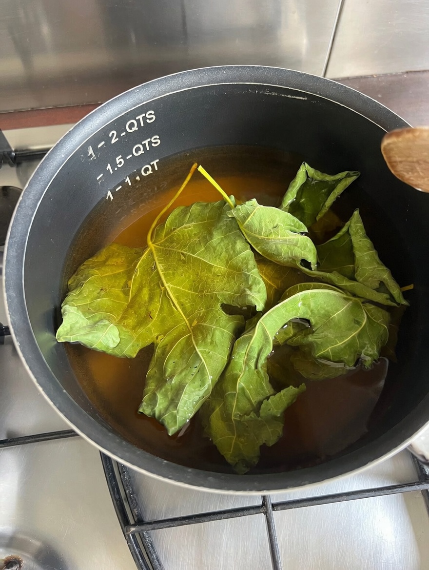 Fig Leaves: The Forgotten Leaf Many Seniors Ignore… Could It Support Daily Health?