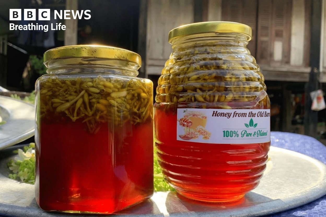 Exploring 12 Potential Benefits of Papaya Flowers and Making a Simple Honey-Soaked Jar for Your Family