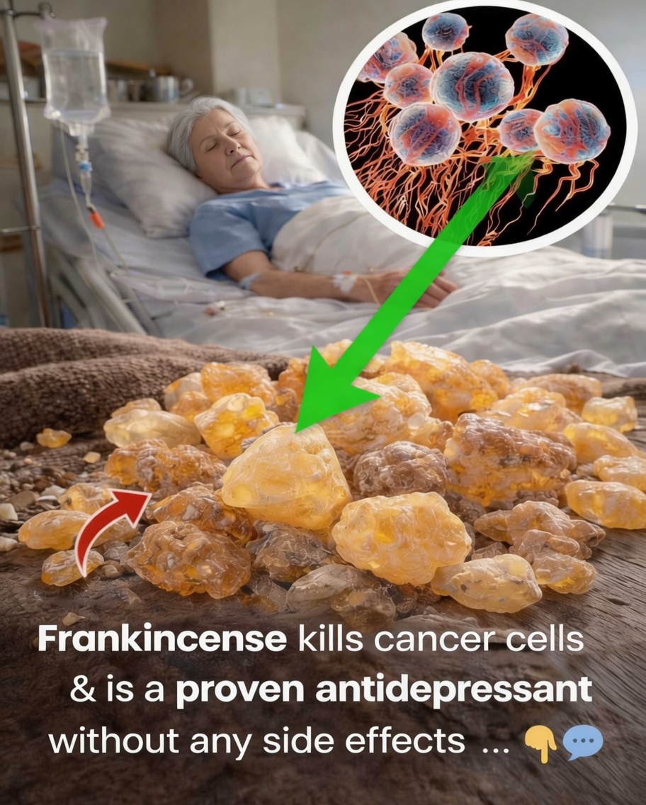 Frankincense: Exploring Its Potential Role in Supporting Cellular Health and Wellness