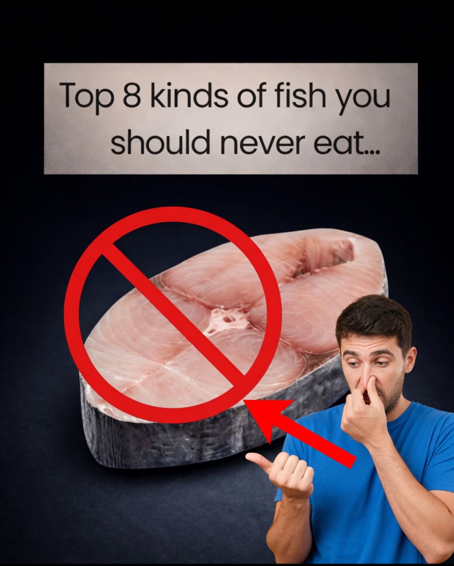 Top 8 Types of Fish You Should Never Eat