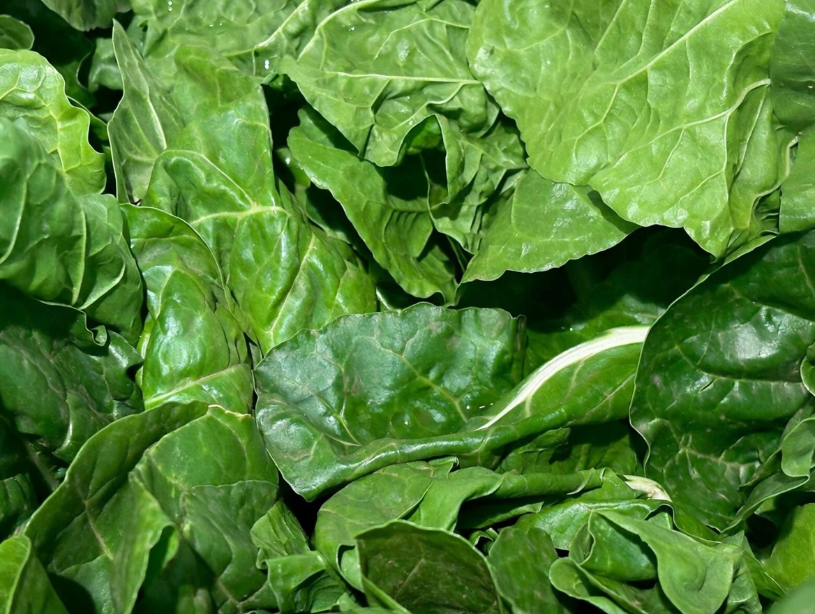 10 Nutrient-Rich Vegetables That May Support Blood Sugar Management for People with Diabetes