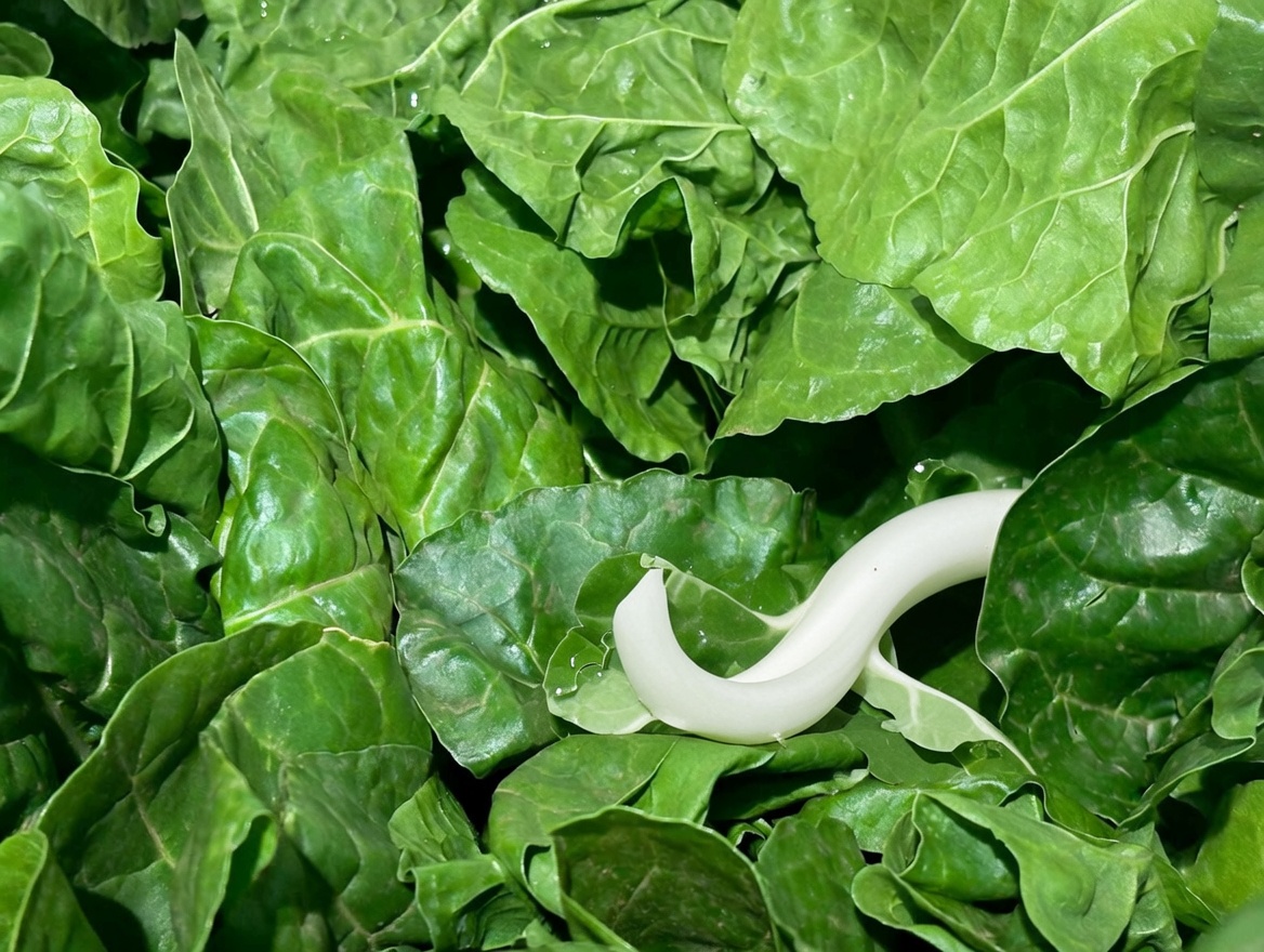 Top 5 Vegetables to Detox Your Arteries and Prevent Heart Attacks!