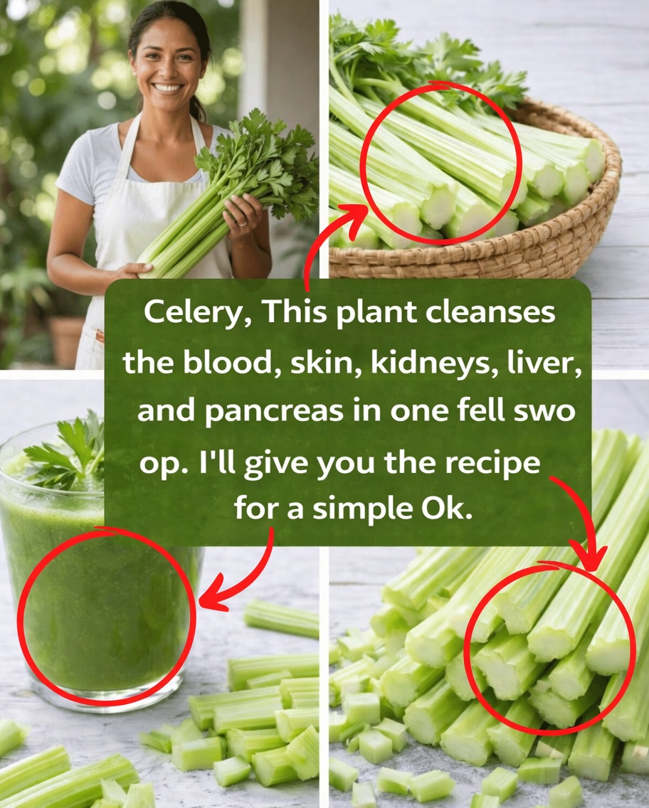 Refresh Your Day with Celery, Parsley & Lime Green Juice (A Simple Path to Feeling Lighter)