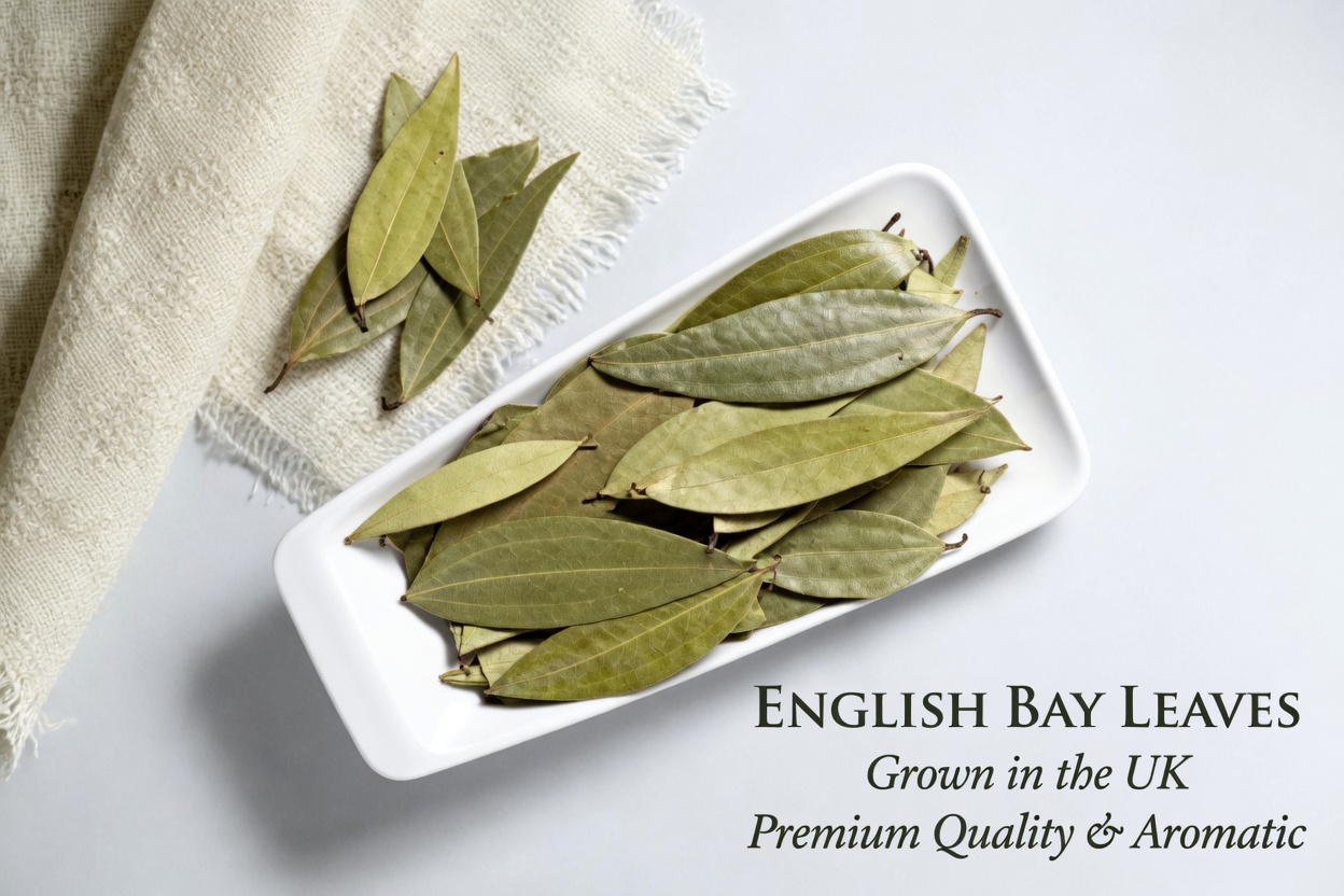 1 Leaf That May Help Manage Diabetes, Blood Pressure, Body Pain, Cholesterol, and Poor Circulation