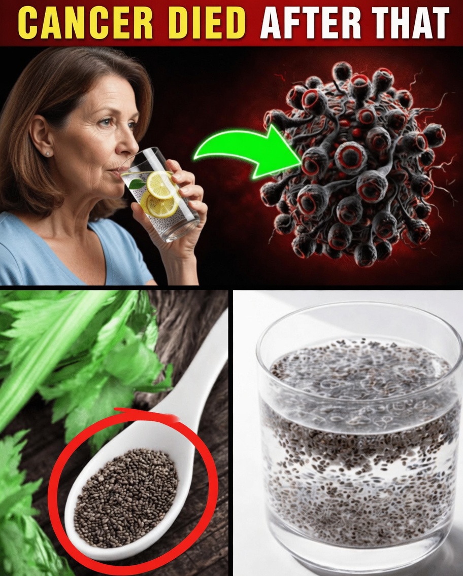 Cancer Is Afraid of These Products! Top 16 Anticancer Foods