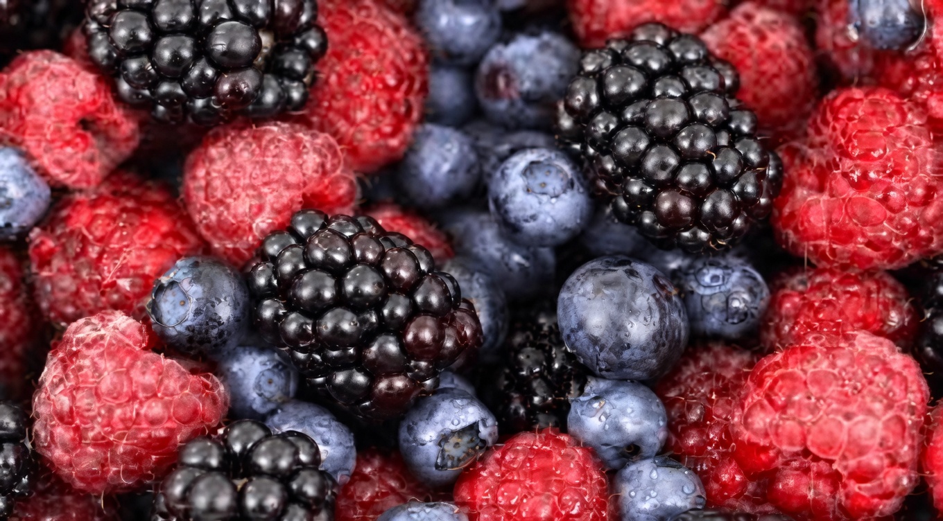 No Kidney Patient Should Ever Have to Face Losing Function Again: 15 Powerful Morning Habits to Support Kidney Health and Potentially Slow Decline