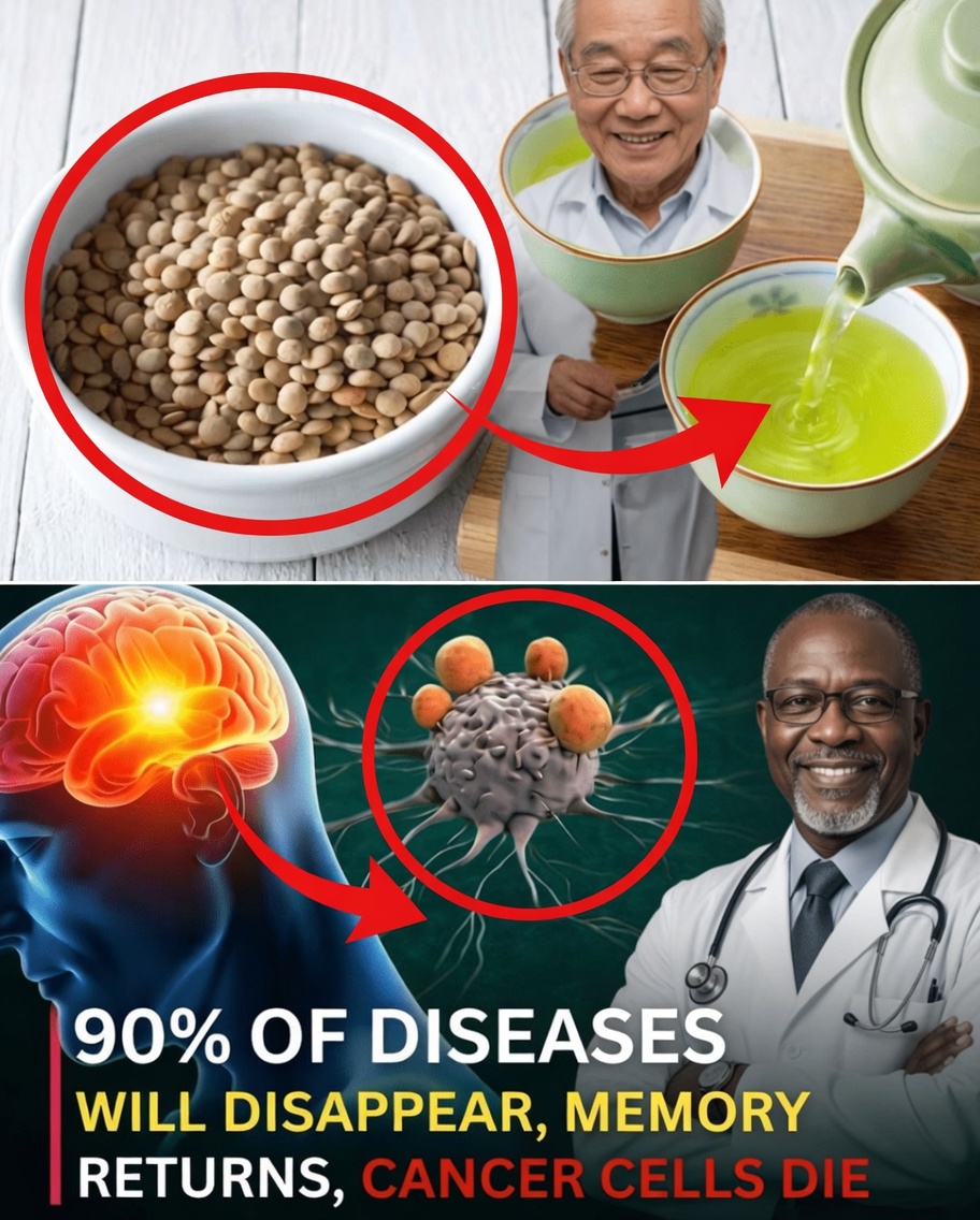 Nobel Prize-Winning Science Reveals: Eat These Foods Daily to Slow Aging and Live Longer