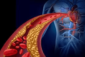 Doctors Reveal: Blood Type O Appears Linked to the Lowest Overall Cancer Risk in Multiple Studies