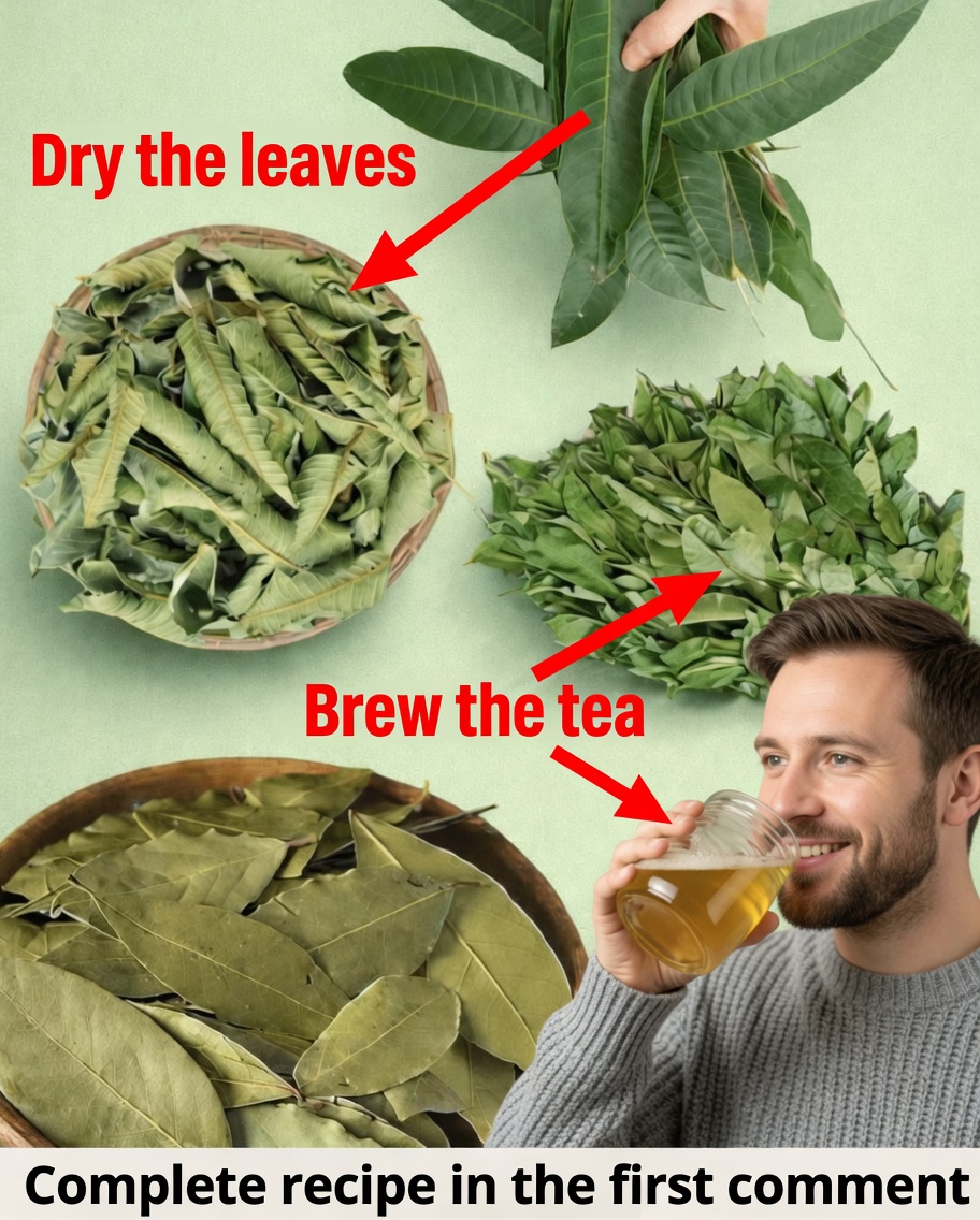 The Four Medicinal Leaves: Avocado, Mango, Bay, and Guava — Nature’s Gift for Your Well-Being