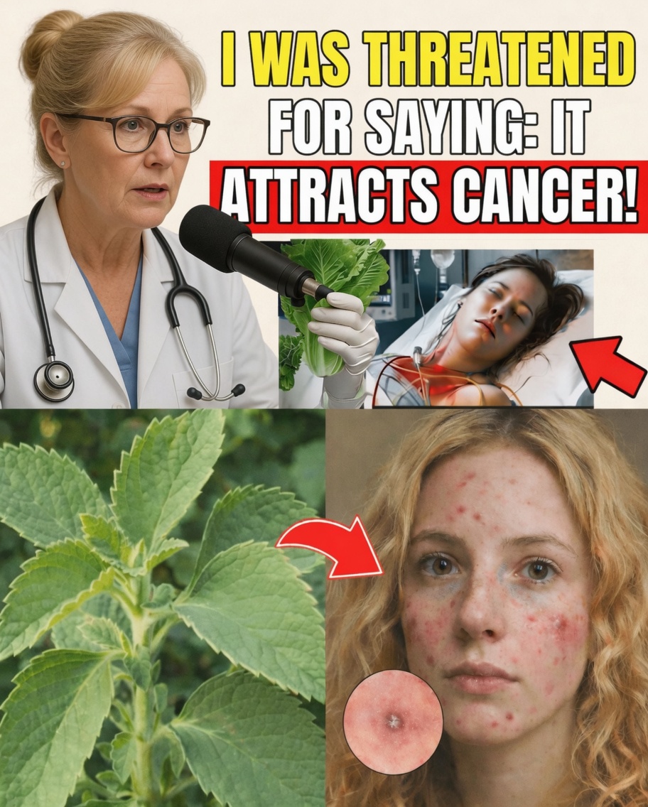 The Viral Claim That Shocked Millions: This Everyday Vegetable Might Be Fueling Cancer Risk – Here’s the Truth and What to Eat Instead