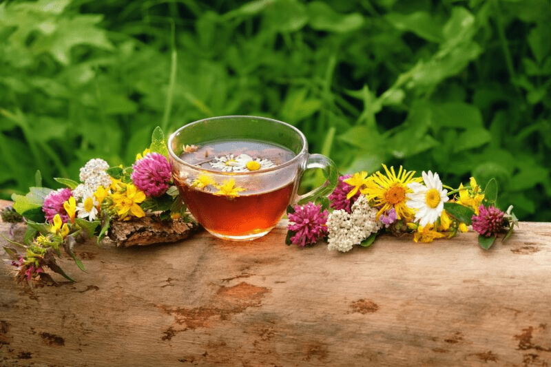 Over 60? Discover 3 Teas That May Help Support Muscle Strength and Mobility