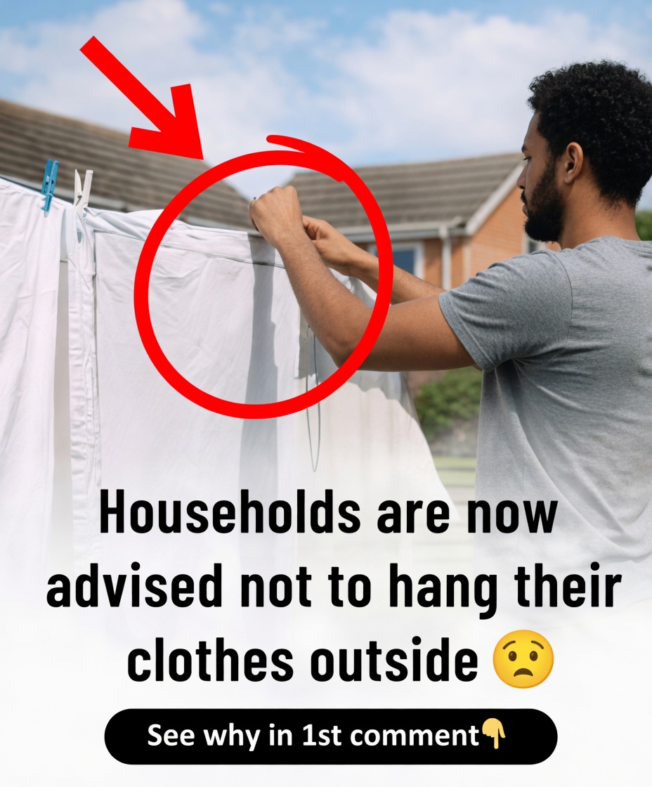 Is Hanging Clothes Outside to Dry Still Safe? Potential Health Concerns You Should Know About
