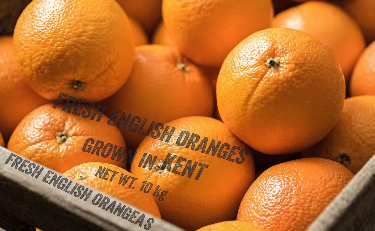 Creatinine High? 6 Fruits to Avoid and 3 Kidney-Safe Choices to Eat Instead