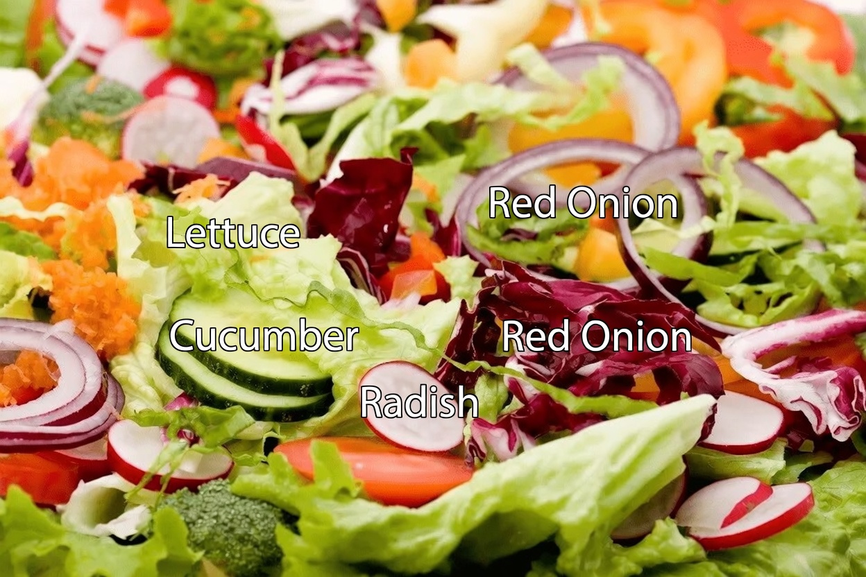 Discover the Top 5 Vegetables That May Help Support Kidney Health and Maintain Balanced Creatinine Levels Naturally