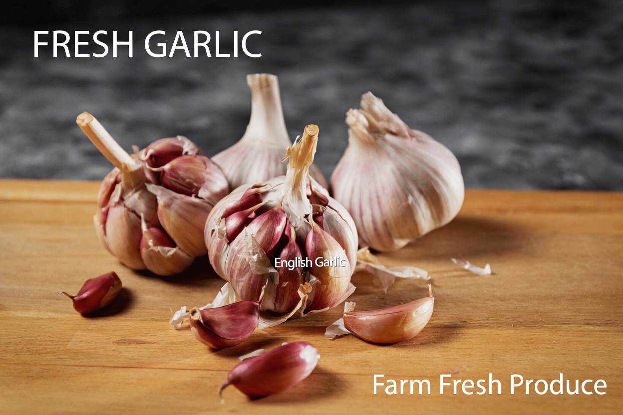 8 Common Garlic Mistakes Seniors Over 60 Should Avoid for Safe Daily Enjoyment
