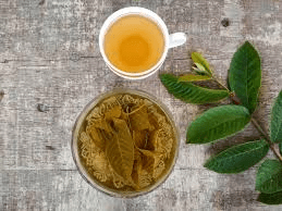 Nature’s Hidden Gems: Unlock Ovulation Power with Guava Leaves, Aidan Fruit, and Okra