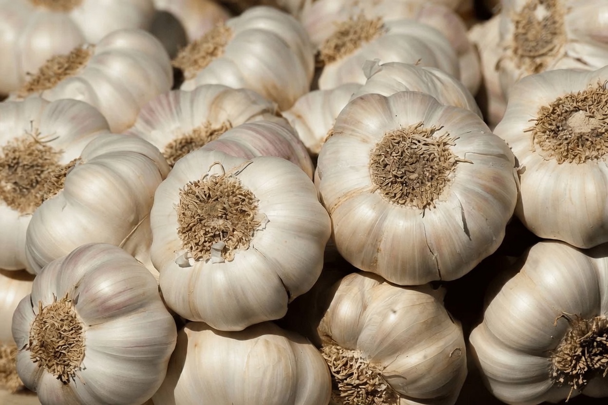 Eat Garlic Before Bed: Shocking Benefits Revealed!