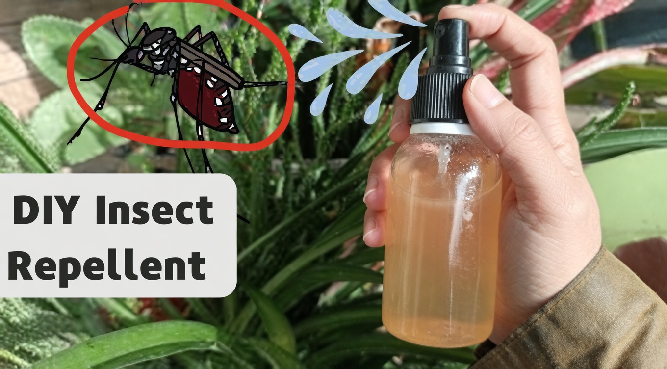 Home & Garden Hacks: How to Use Cloves to Get Rid of Insects Naturally