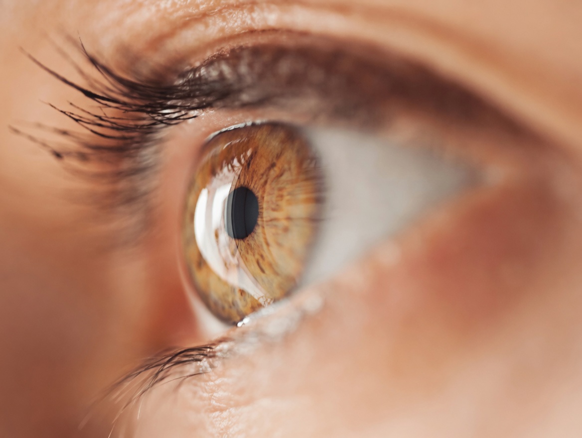 9 Natural Herbs That Restore Vision and Solve Eye Problems (Safe for Everyone)
