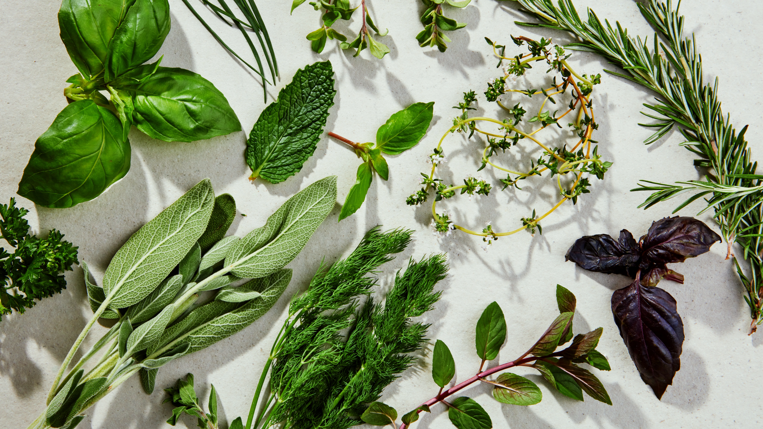 9 Natural Herbs That Restore Vision and Solve Eye Problems (Safe for Everyone)