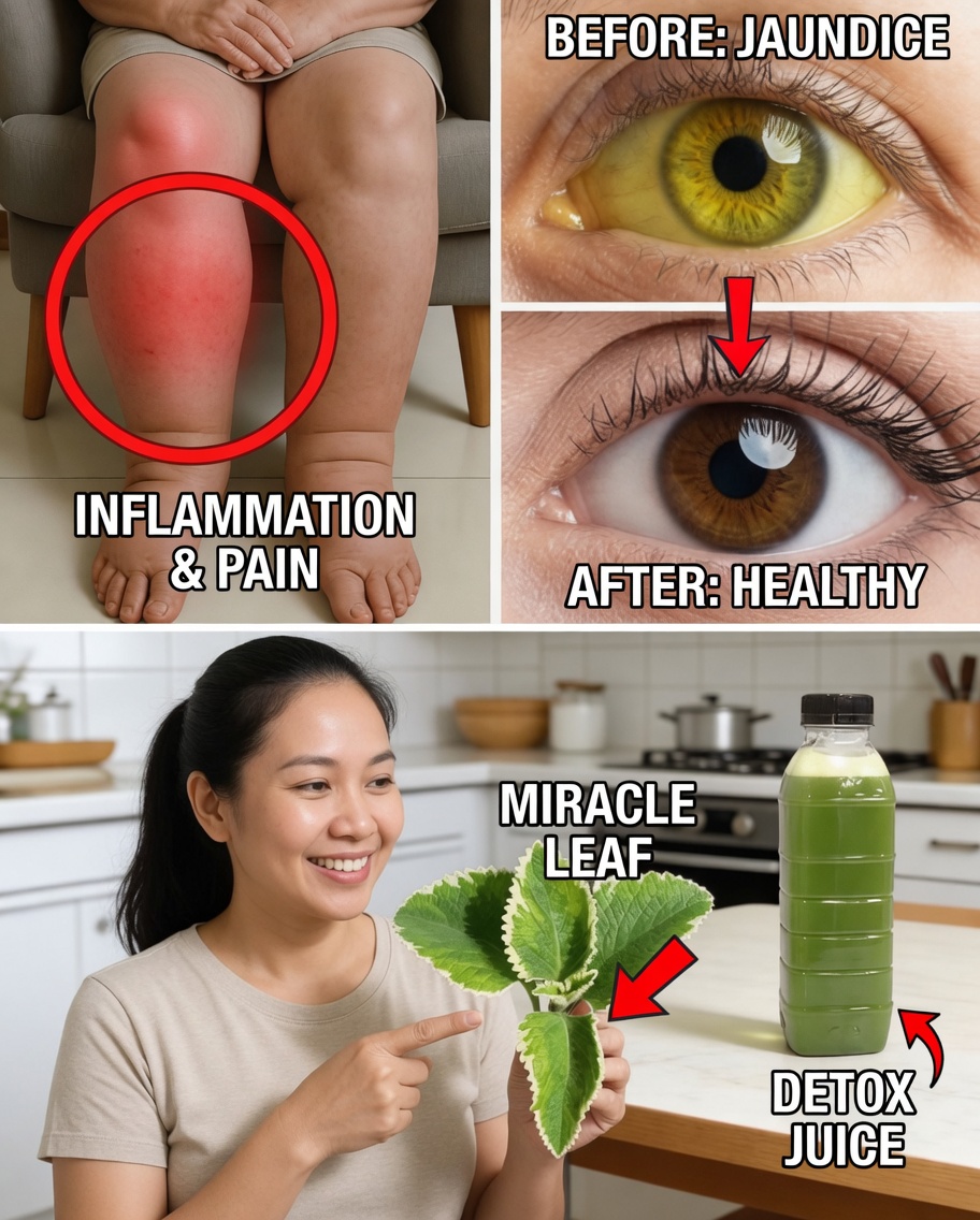 Just One Leaf a Day Can Solve 25 Health Problems