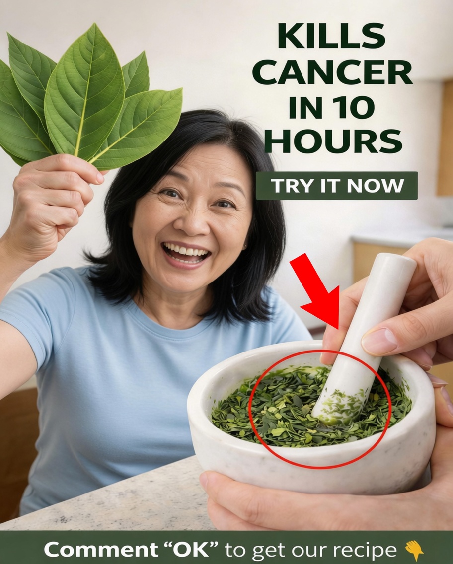 The Powerful Leaf Everyone Is Talking About: What Science Actually Says About Graviola (Soursop) Leaves