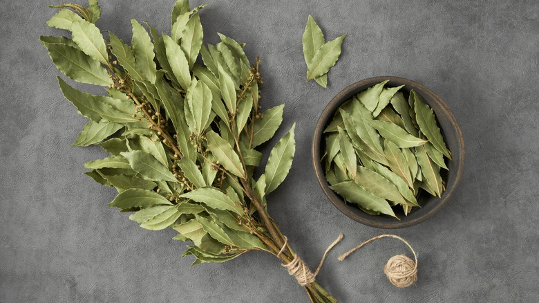 Discover the Potential Benefits of Three Common Leaves for Supporting Blood Sugar Levels and Wellness