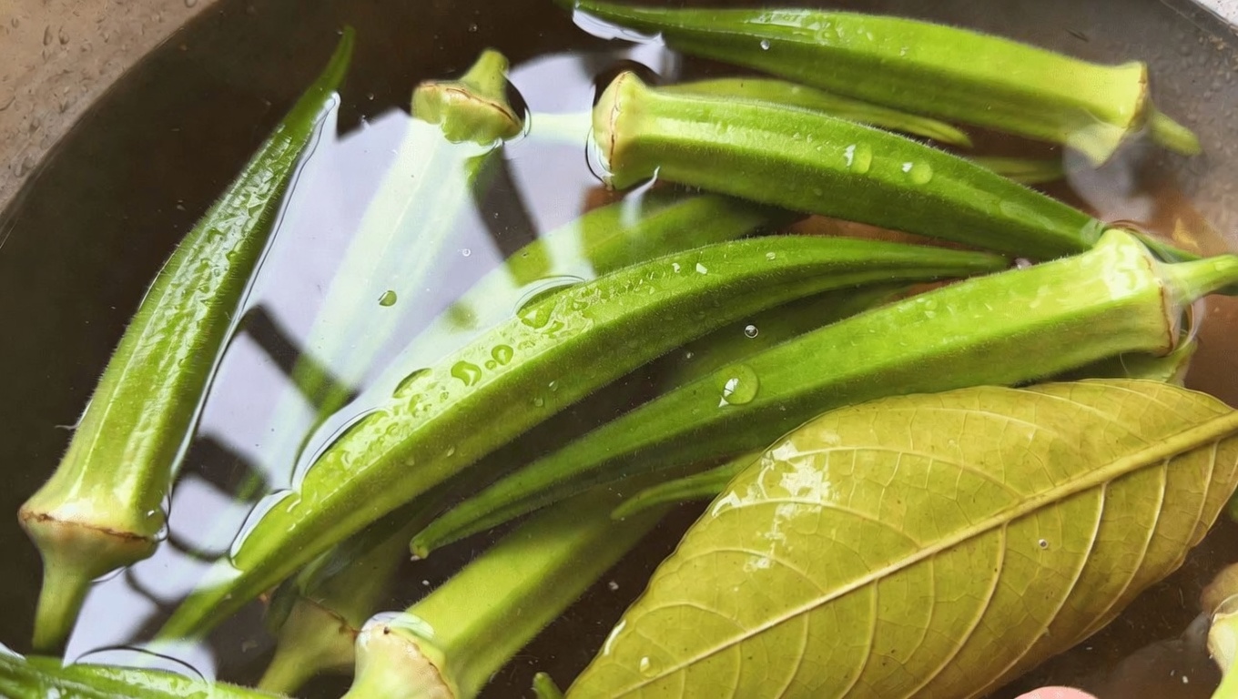 Discover the Traditional Use of Okra and Guava Leaves for Gentle Monthly Comfort in Women’s Herbal Rituals