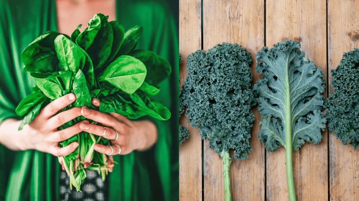Over 60? 9 Nutrient-Rich Superfoods That May Naturally Support Muscle Health in Seniors