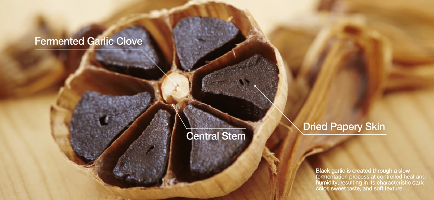 Is It True That Garlic Kills 14 Types of Bacteria and 13 Types of Infections?