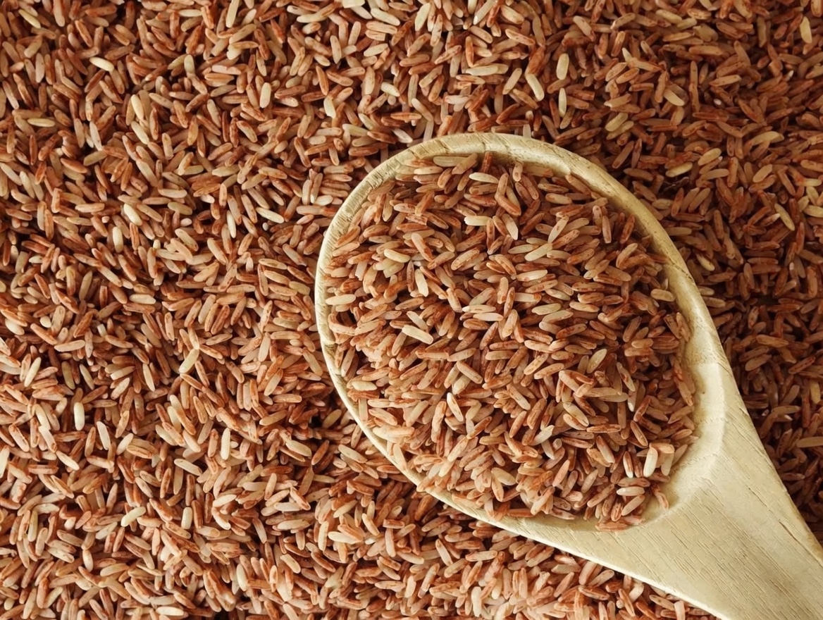 Natural Foods to Support Knee Cartilage Health: Protect Your Joints the Smart Way