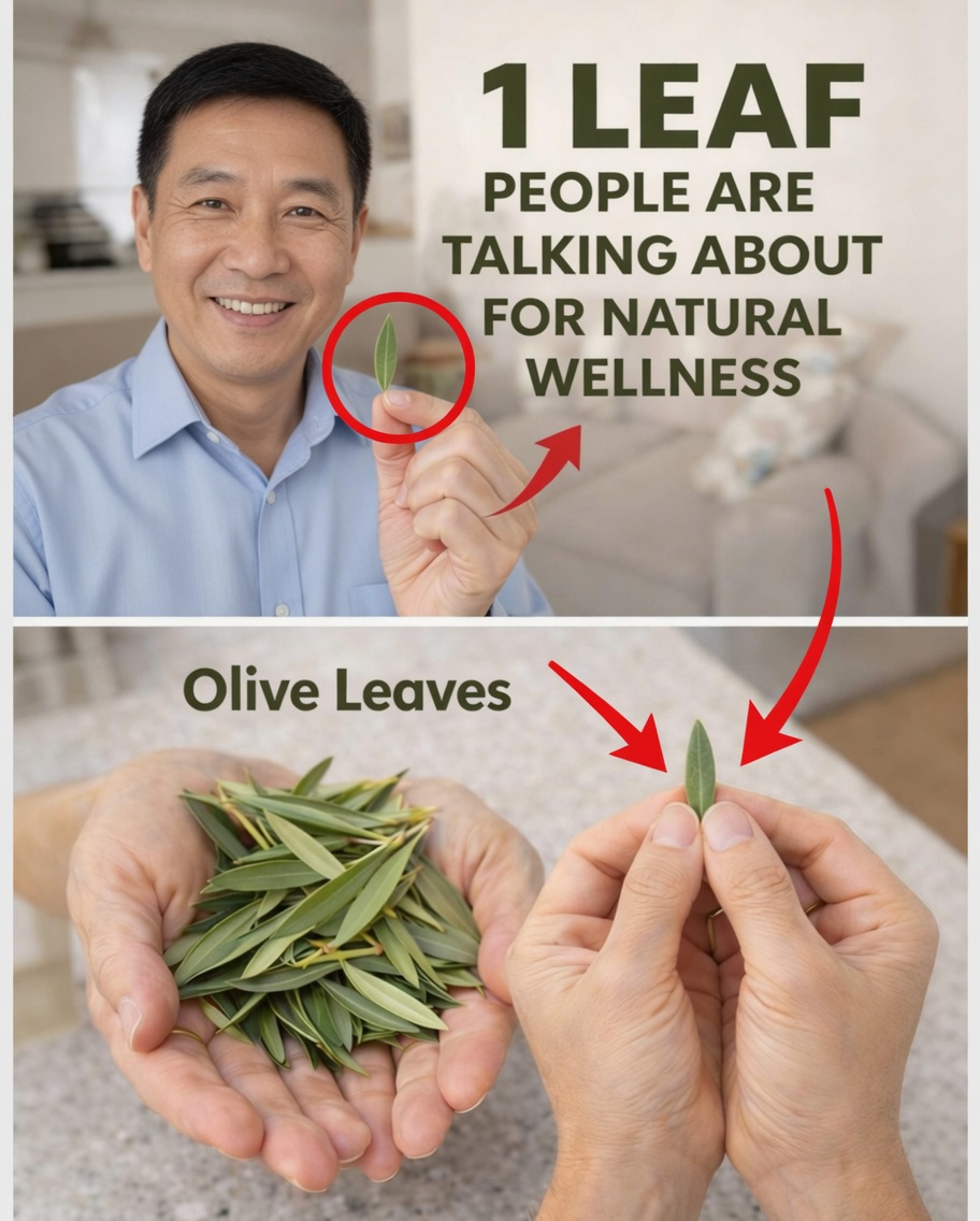 Discover the Potential Health Benefits of Olive Leaf Extract and Simple Ways to Incorporate It Daily